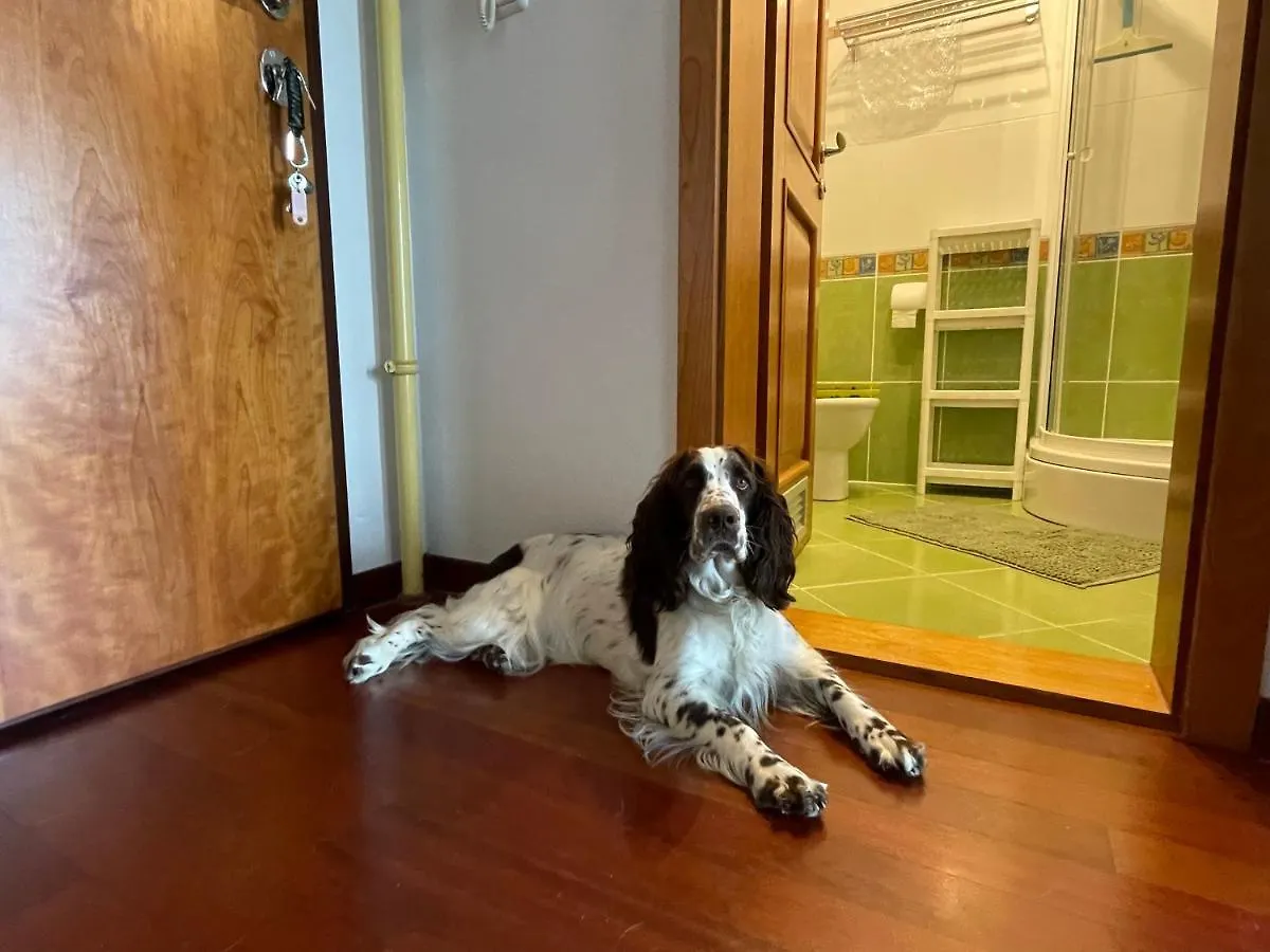 Apartmán Old Lady Opatija Chorvatsko